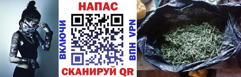 Галлюциногенные грибы Дмитриев