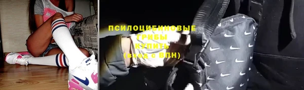 метадон Алексин