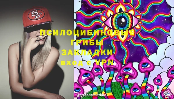 метадон Алексин
