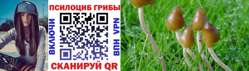 мега ссылка  Дмитриев  Галлюциногенные грибы MAGIC MUSHROOMS 